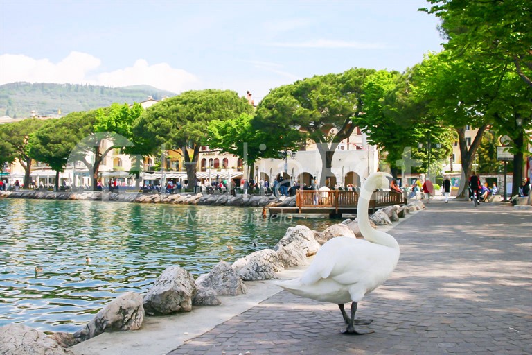 Garda - Gardasee