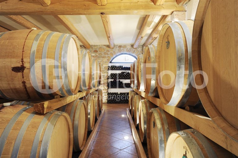 Cantina Monte Zovo - Gardasee