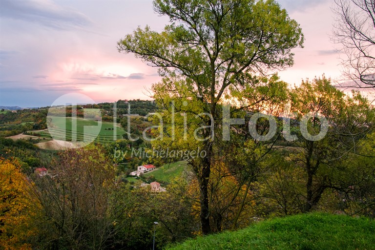 Marken-Urbino