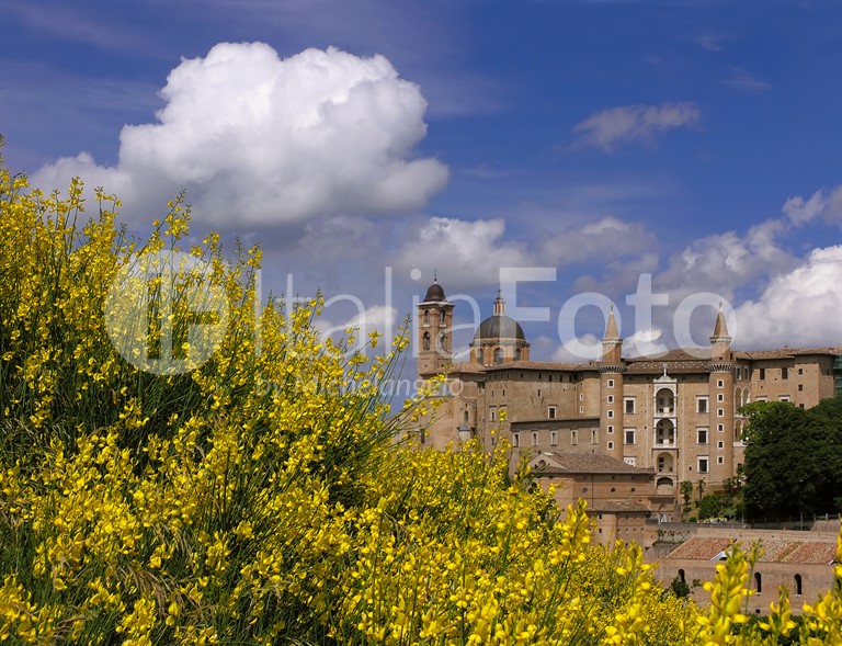 Marken-Urbino-Königspalast