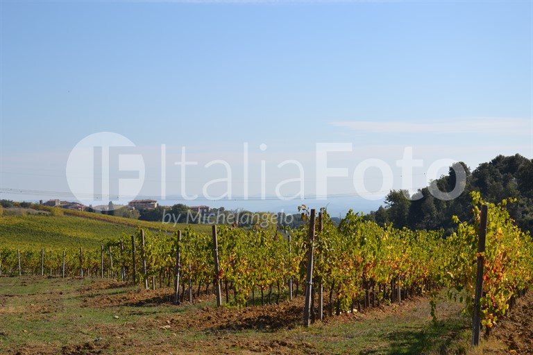 Toskana-Chianti