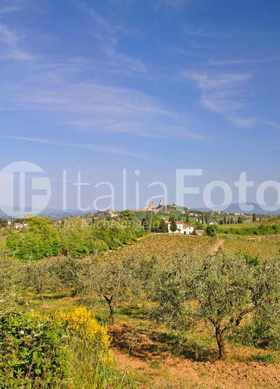 Toscana-San Gimignano