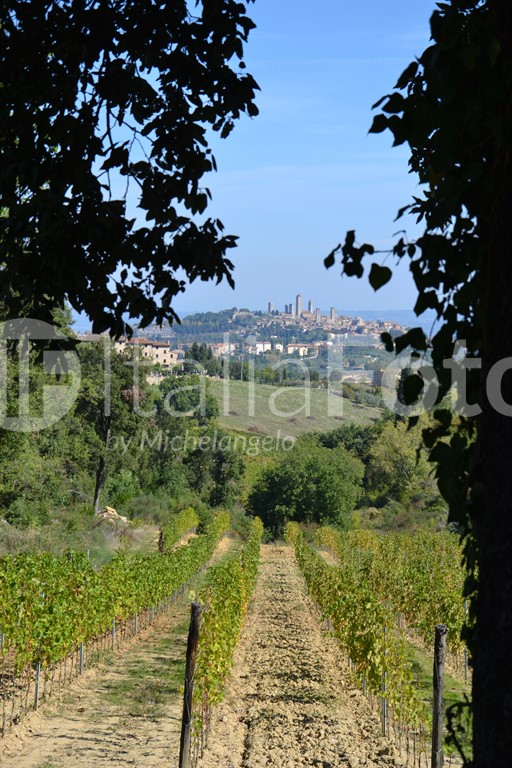 Toscana-San Gimignano