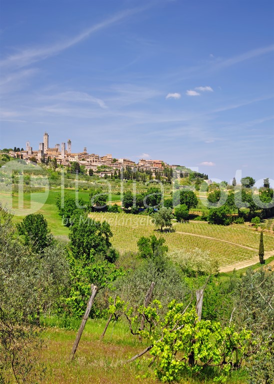 Toscana-San Gimignano