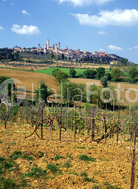 Toscana-San Gimignano