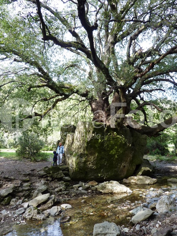 Sardinien-Supramonte