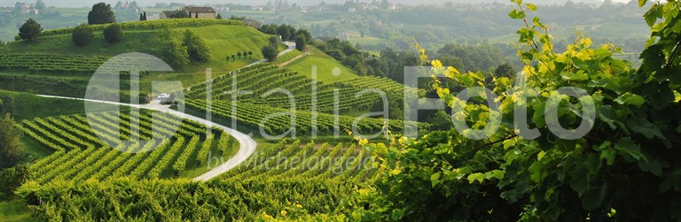 Venetien-Prosecco Hügel-Valdobbiane
