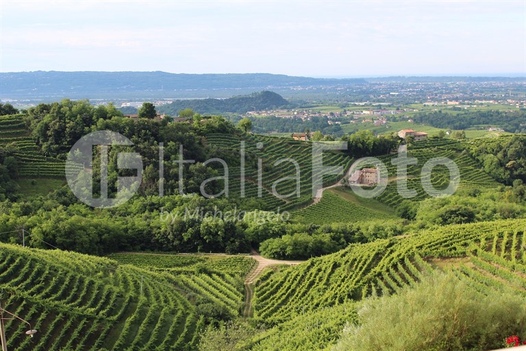 Venetien-Prosecco Hügel-Valdobbiane