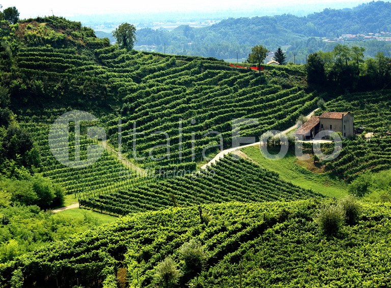 Venetien-Prosecco Hügel-Valdobbiane