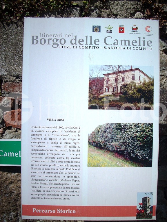 Villa Orsi