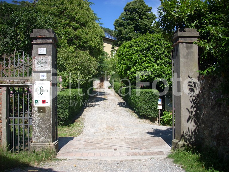 Villa Orsi