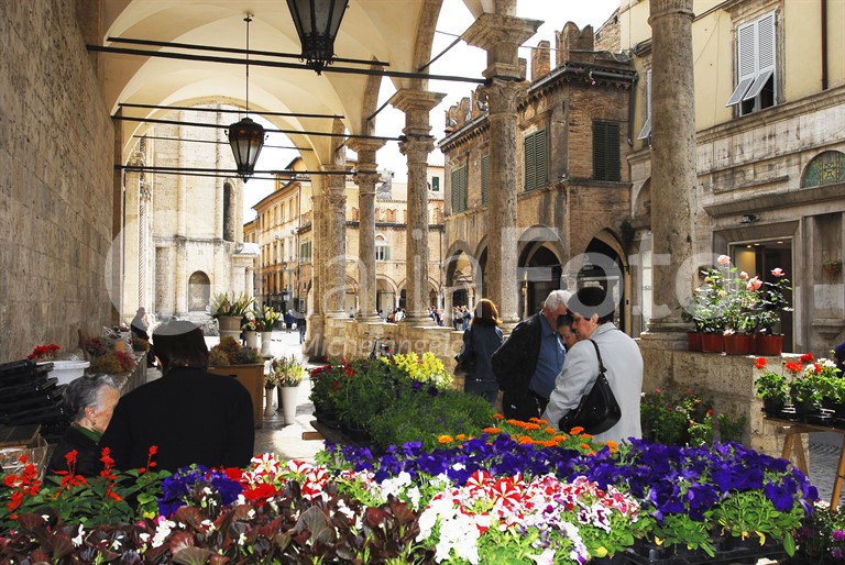 Ascoli Piceno