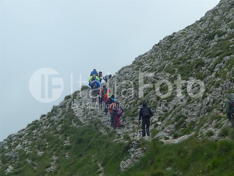 ACTIVO (Marken - Abruzzen - Molise)