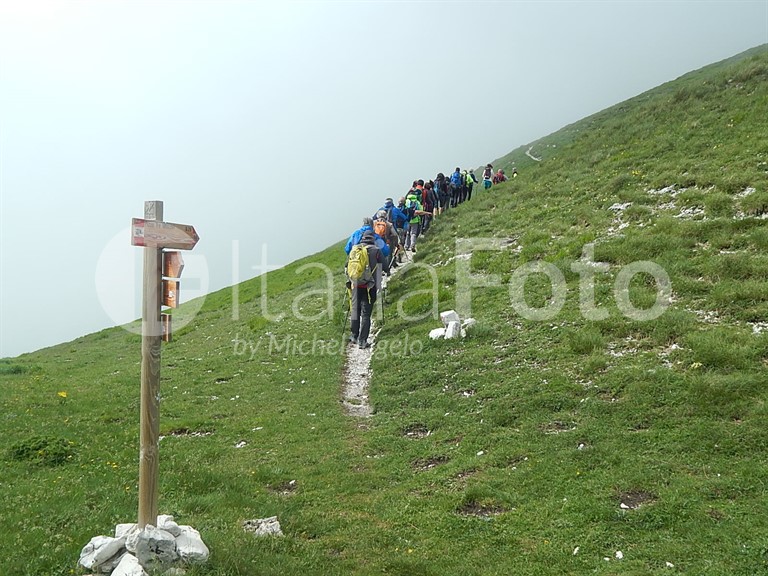 ACTIVO (Marken - Abruzzen - Molise)