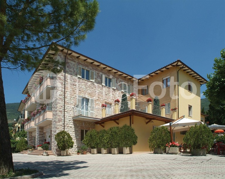 Viole - Assisi