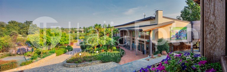 Active Paradise Gold - Peschiera