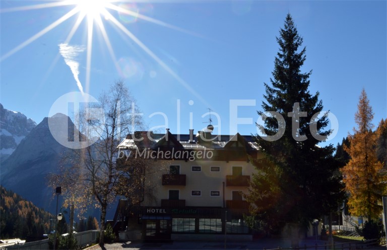 Betulla - Madonna di Campiglio