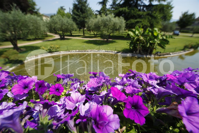 Villa Quaranta - Ospedaletto di Pescantina