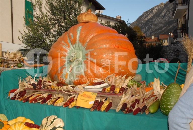 pumpkin festival Venzone
