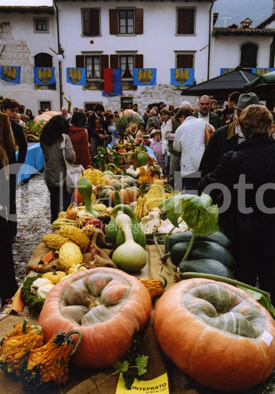 pumpkin festival Venzone